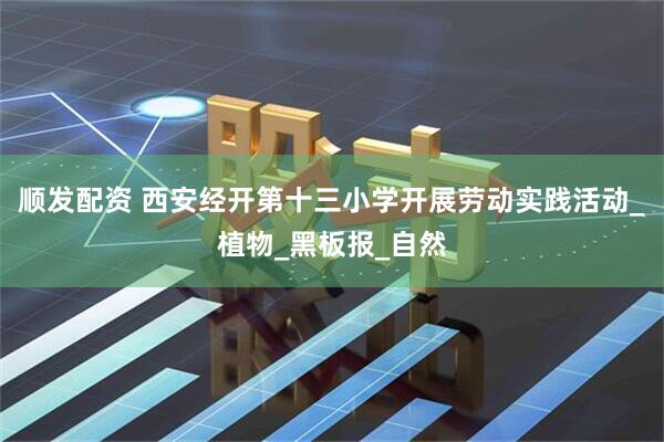 顺发配资 西安经开第十三小学开展劳动实践活动_植物_黑板报_自然