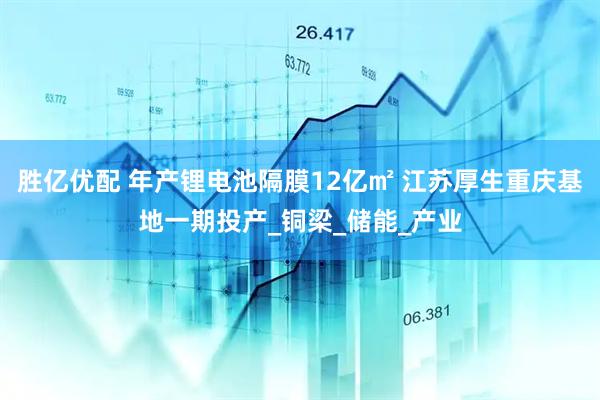 胜亿优配 年产锂电池隔膜12亿㎡ 江苏厚生重庆基地一期投产_铜梁_储能_产业