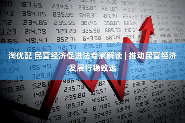 淘优配 民营经济促进法专家解读 | 推动民营经济发展行稳致远