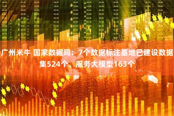 广州米牛 国家数据局：7个数据标注基地已建设数据集524个、服务大模型163个