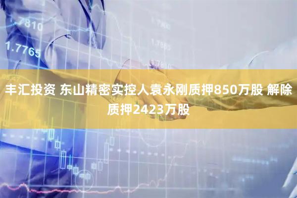 丰汇投资 东山精密实控人袁永刚质押850万股 解除质押2423万股